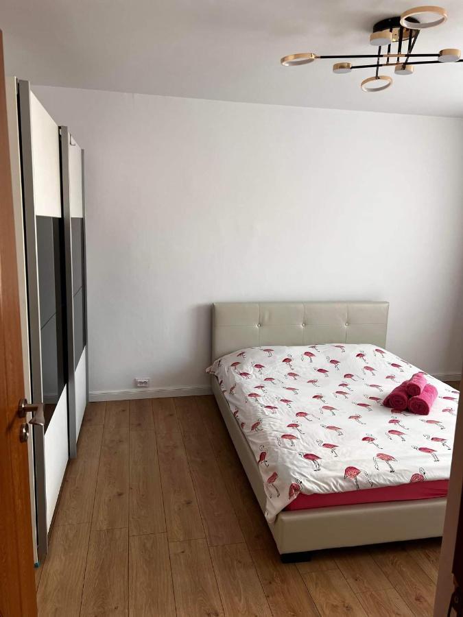 Apartamento Garsoniera Flamingo Garii 4 Braşov Exterior foto
